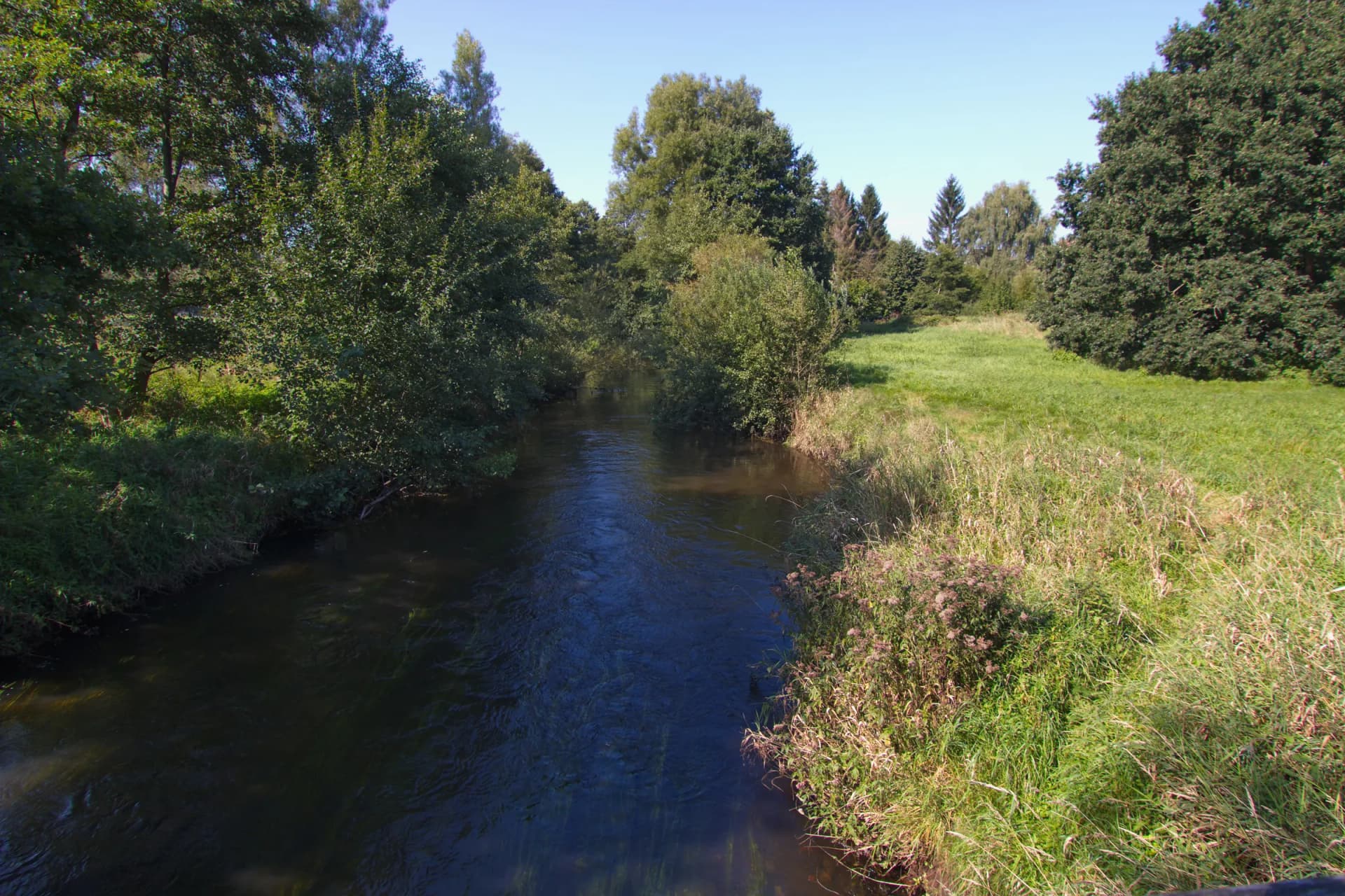 Die Böhme fließt zwischen Bäumen und Wiese durch Bad Fallingbostel