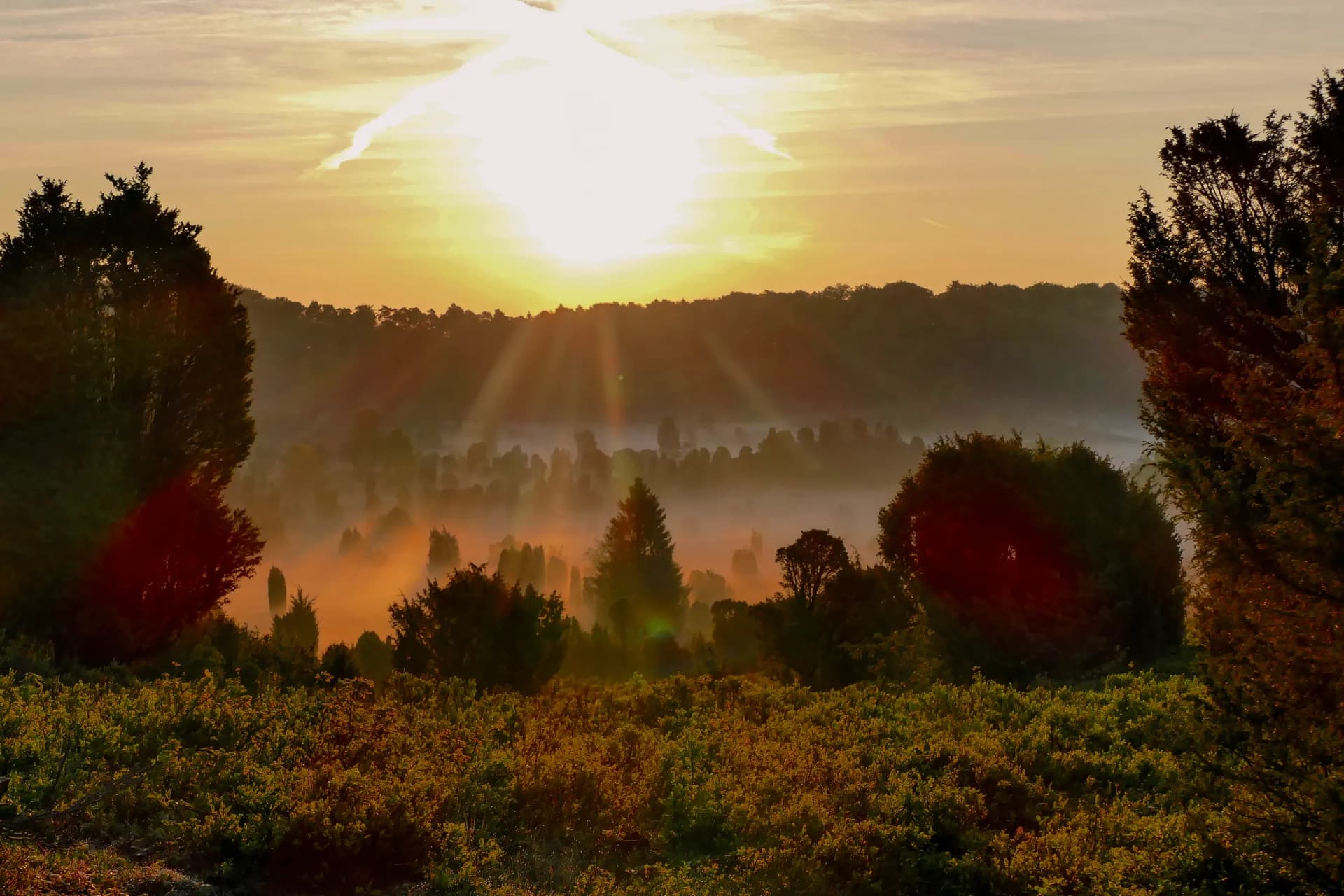 Sonnenaufgang mit Nebel über dem Totengrund bei Wilsede